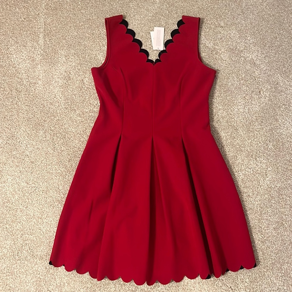 Banana Republic scalloped scuba dress. Petite 8. New!